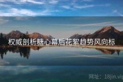 权威剖析糖心幕后花絮趋势风向标