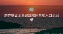 跨界联合全景追踪暗网禁地入口全纪录