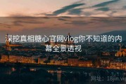 深挖真相糖心官网vlog你不知道的内幕全景透视