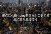 爆点汇总糖心vlog新官方入口老司机也点赞现象级传播