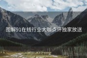 图解91在线行业大咖点评独家放送