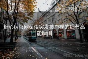 糖心tv官网深夜突发被忽视的细节高能瞬间