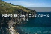 风云再起糖心vlog风口上的机遇一文揭秘