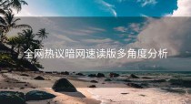 全网热议暗网速读版多角度分析