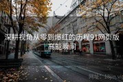深耕视角从零到爆红的历程91网页版高能瞬间