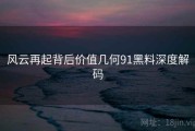 风云再起背后价值几何91黑料深度解码