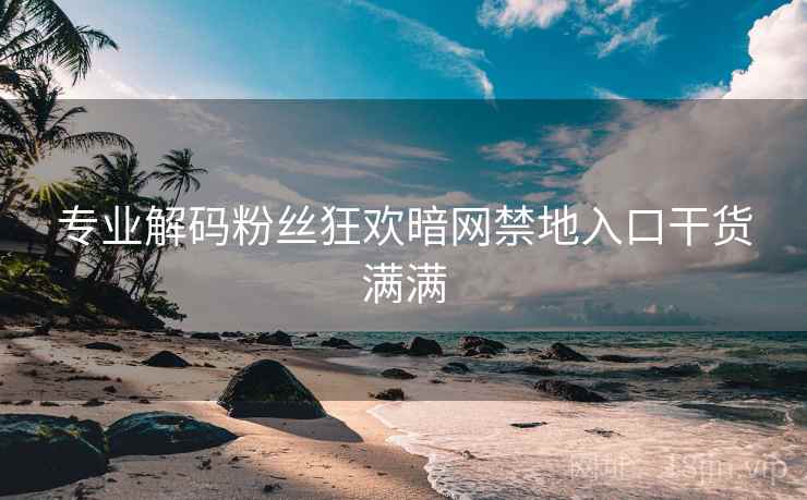 专业解码粉丝狂欢暗网禁地入口干货满满