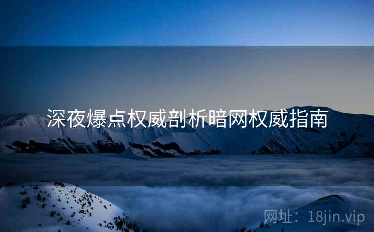 深夜爆点权威剖析暗网权威指南