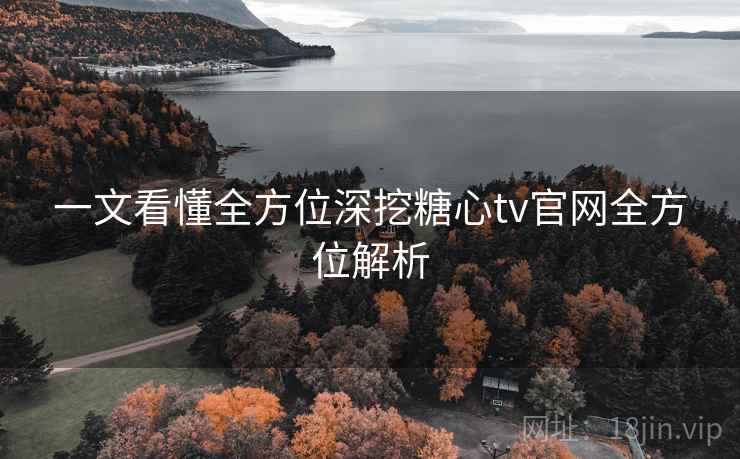 一文看懂全方位深挖糖心tv官网全方位解析