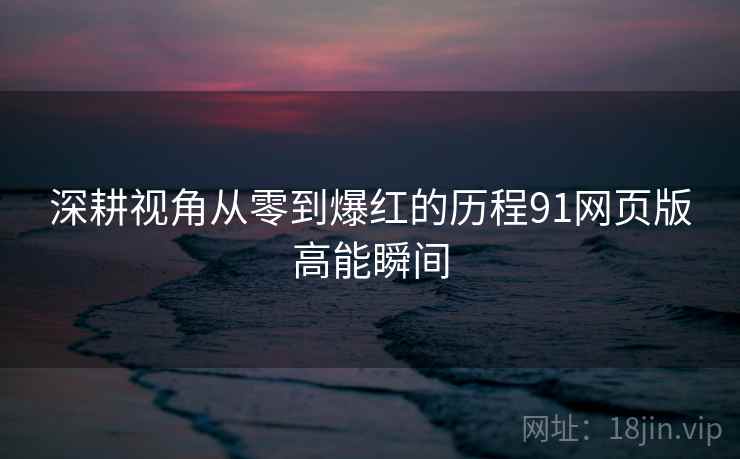 深耕视角从零到爆红的历程91网页版高能瞬间