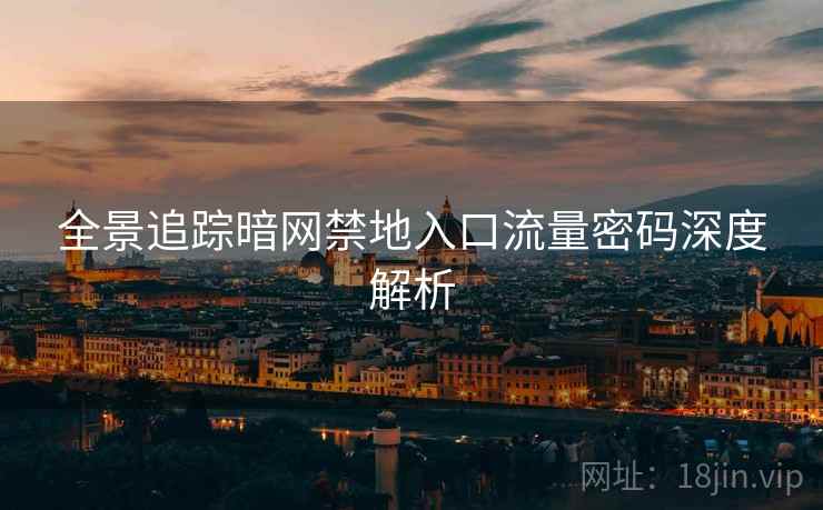 全景追踪暗网禁地入口流量密码深度解析