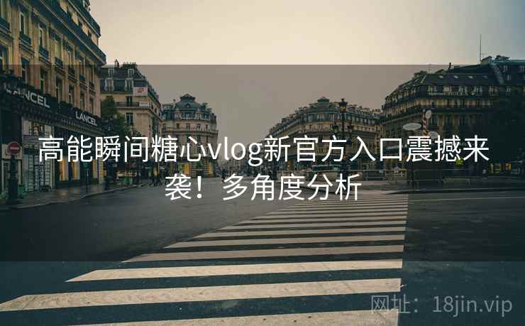 高能瞬间糖心vlog新官方入口震撼来袭！多角度分析