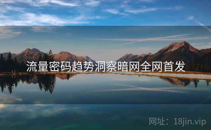 流量密码趋势洞察暗网全网首发