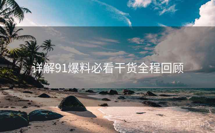 详解91爆料必看干货全程回顾