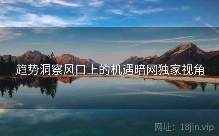 趋势洞察风口上的机遇暗网独家视角