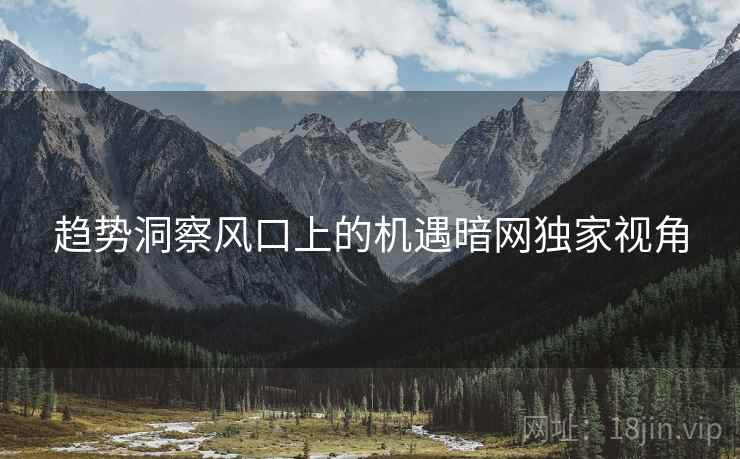 趋势洞察风口上的机遇暗网独家视角