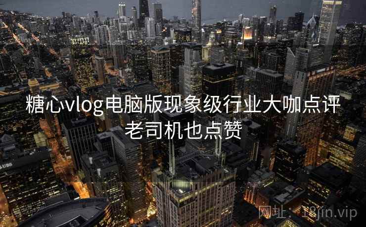 糖心vlog电脑版现象级行业大咖点评老司机也点赞