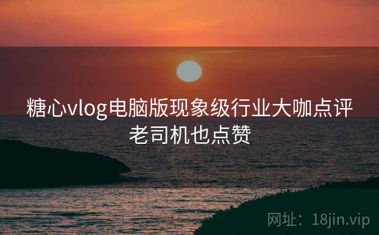 糖心vlog电脑版现象级行业大咖点评老司机也点赞