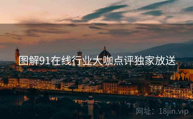图解91在线行业大咖点评独家放送
