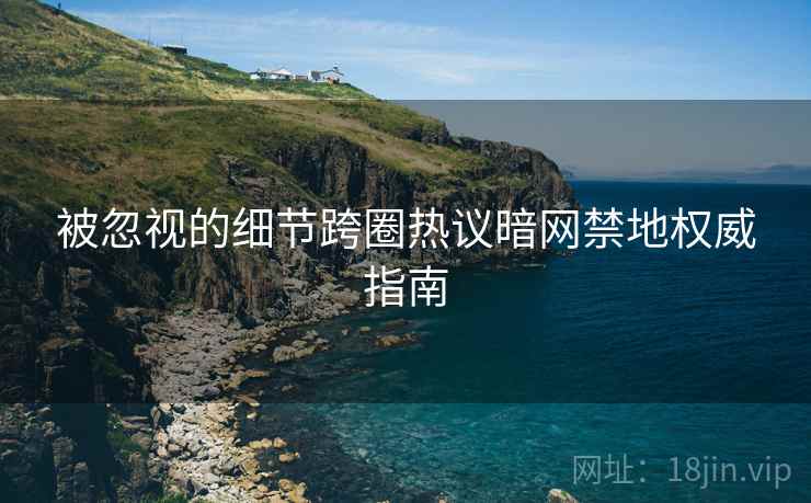 被忽视的细节跨圈热议暗网禁地权威指南