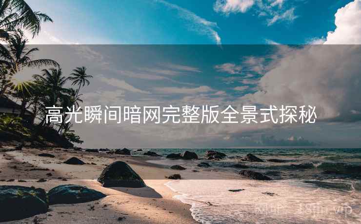 高光瞬间暗网完整版全景式探秘