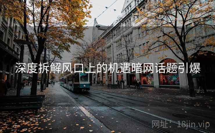 深度拆解风口上的机遇暗网话题引爆